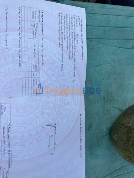 Đất nền Kiên Lao Bắc Giang 90m² – Sổ đỏ chính chủ mặt đường