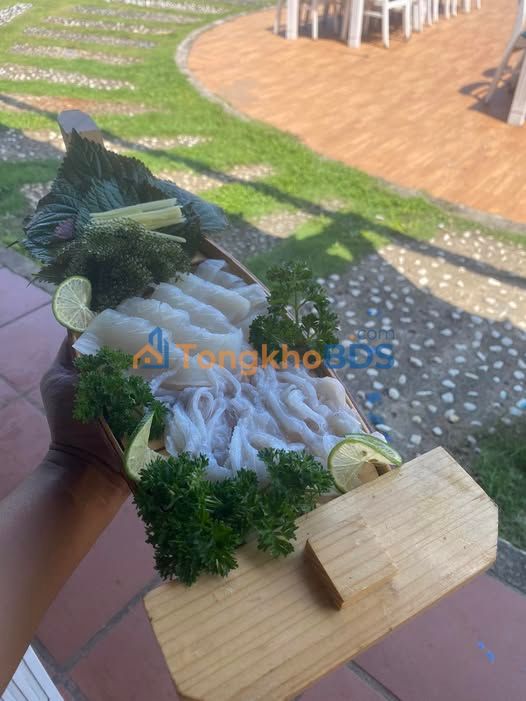 Đất nền Tam Hòa Núi Thành 552m² 3.1 tỷ - Sổ đỏ chính chủ