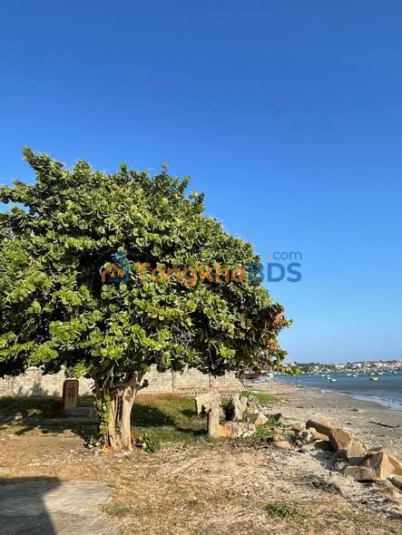 Đất nền Huỳnh Thúc Kháng Mũi Né 1600m² 24 tỷ - Sổ đỏ chính chủ