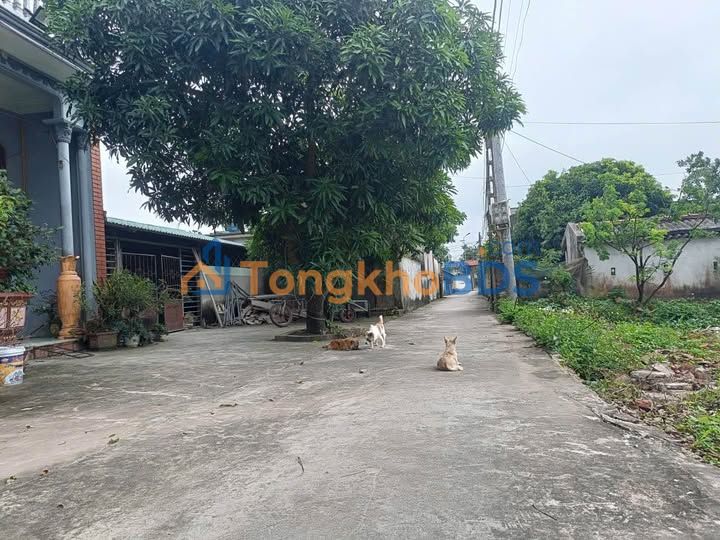 Đất nền 99m² Đông Hoàng, Tiền Hải - Sổ hồng thổ cư, ô tô vào tận nơi