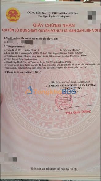 Đất nền Thanh An Dầu Tiếng 600m² 1.7 tỷ - Sổ đỏ