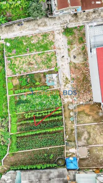 Đất Tả Thanh Oai 77m² - Giá Hời Trước Tết, Cơ Hội Đầu Tư Vàng