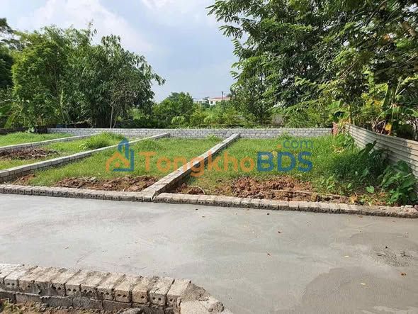 Đất nền Kim Bài Thanh Oai 62m² giá 2 tỷ - Tiềm năng tăng giá