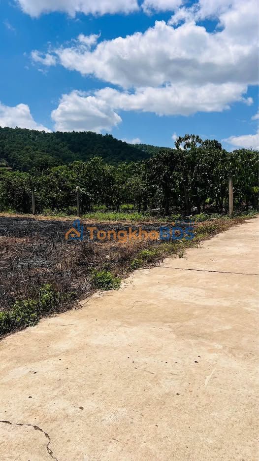 Đất nền Nam Ban 482m² 1,4 tỷ - Xây dựng tự do