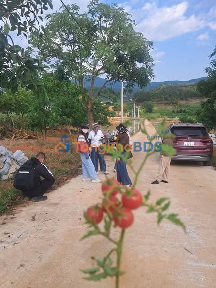 Đất thổ cư Nam Ban 200m² 1.35 tỷ - Sổ đỏ chính chủ