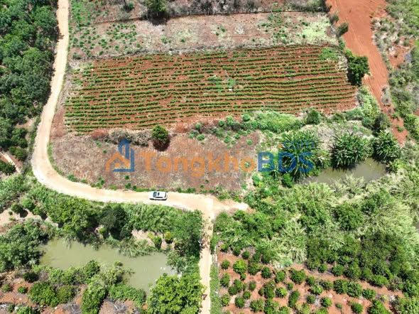 Đất Nam Ban Lâm Hà 1.691m² giá 3 tỷ - Tiềm năng tăng giá