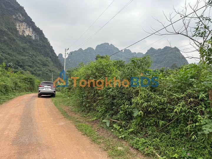 Đất nền Cao Dương Lương Sơn 130000m² -Đường to ô tô