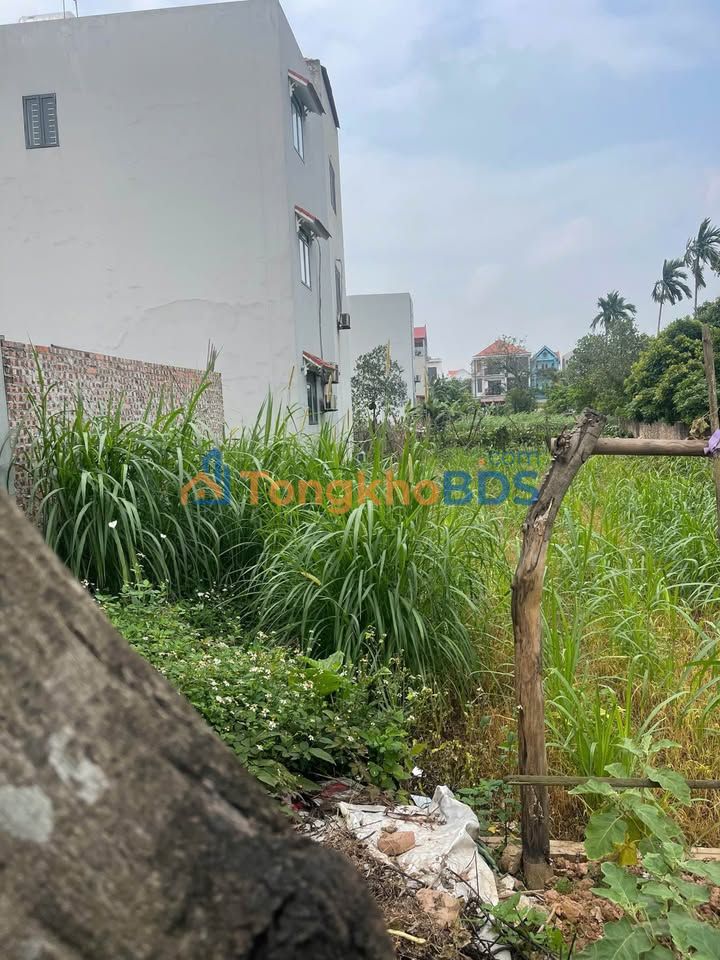 Đất Tam Thuấn Phúc Thọ 80m² giá 5 tỷ - Xây dựng tự do