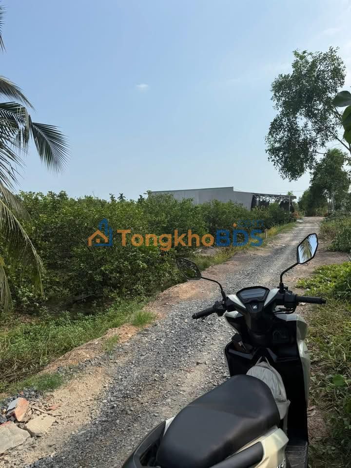 Đất vườn Lương Hòa Bến Lức 1000m² 1,2 tỷ - Đường to ô tô