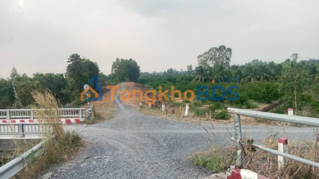 Đất vườn Thạnh An Long An 1.000m² 950tr - Sinh thái xanh