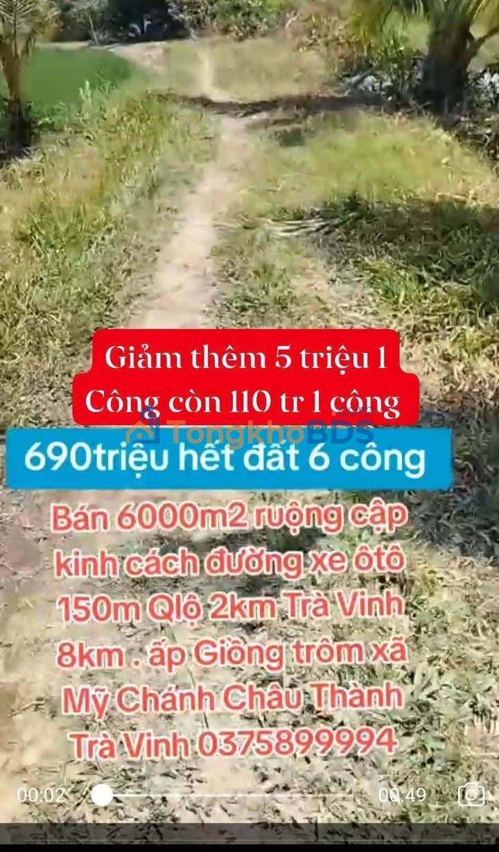 Đất ruộng Mỹ Chánh 6.000m² 660 triệu – Tiềm năng tăng giá