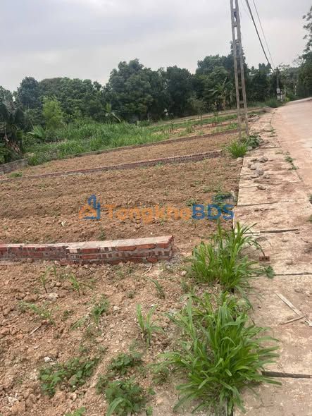 Đất nền Thị trấn Lập Thạch 116m² giá 700-799 triệu - Đường ô tô