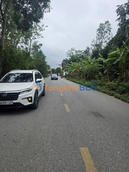 Đất nền Tam Đảo QL2B 124m² 1 tỷ - Sổ đỏ chính chủ