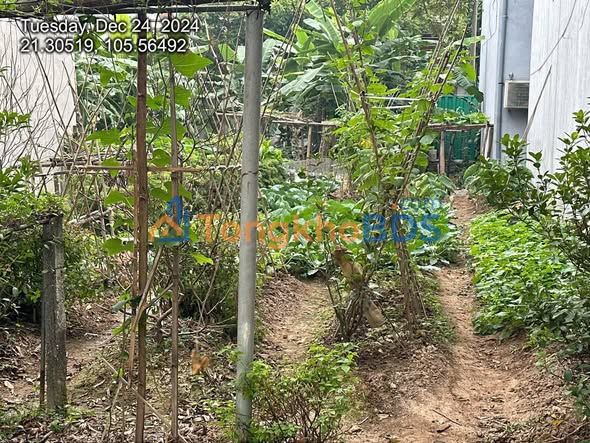 Đất nền Trần Doãn Hựu Vĩnh Yên 100m² 2.6 tỷ - Giá tốt hiếm có