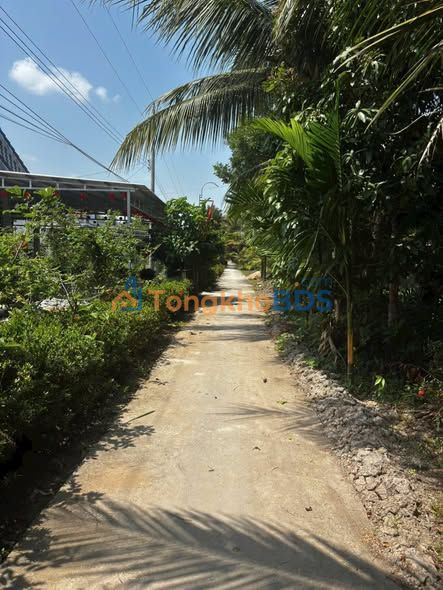 Đất nền Gò Quao Kiên Giang 2.170m2 590tr - Xây dựng tự do