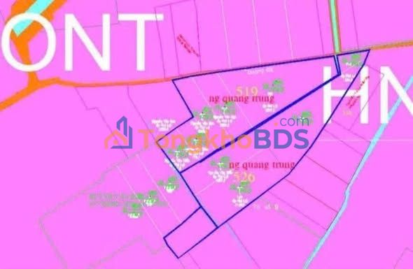 Đất Vườn Củ Chi 19.400m² - Sổ Đỏ Rõ Ràng, Giá Đầu Tư Hấp Dẫn