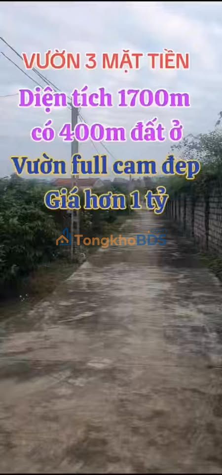 Đất Vườn Bắc Giang 1700m² - 3 Mặt Tiền, Vườn Cam Trĩu Quả - Giá Đầu Tư 1 Tỷ