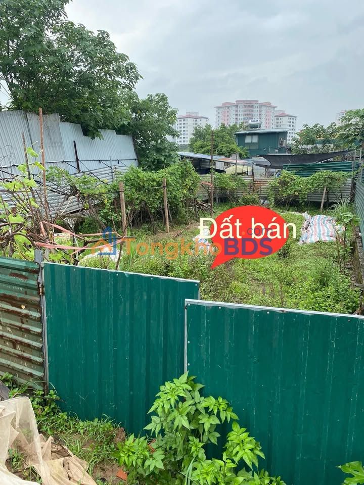 Nhà Tây Mỗ Nam Từ Liêm 54m² 6.45 tỷ - Sẵn sàng ở ngay