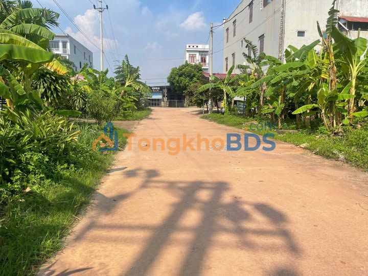 Đất đấu giá Hương Đậu Lạng Giang 110m² - Sổ đỏ sẵn, giá tốt đầu tư