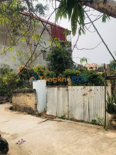 Đất nền Tân Hoa Bắc Giang 90m² giá nhỉnh tỷ - Xây dựng tự do