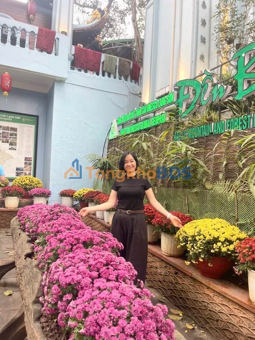 Đất nền Tân An, Bắc Giang 124m² - Sổ đỏ sẵn, 2 mặt tiền ô tô tránh