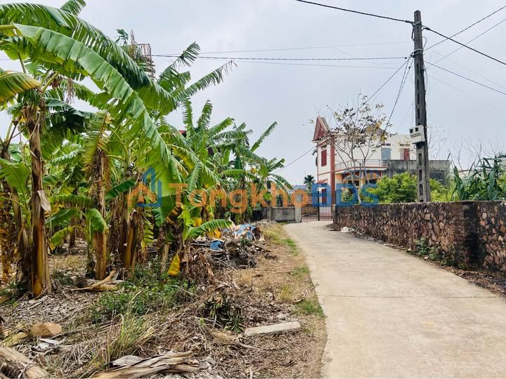 Đất nền Tiên Nha Lục Nam 120m² 400tr - Hạ tầng hoàn thiện