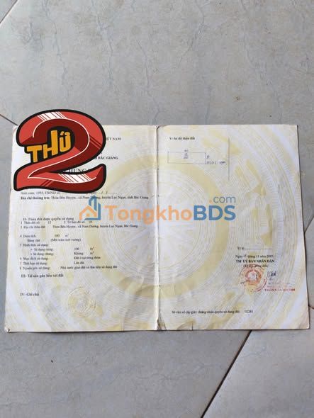 Bán Đất Lục Ngạn 100m² Sổ Đỏ Thổ Cư - Giá Tốt Đầu Tư