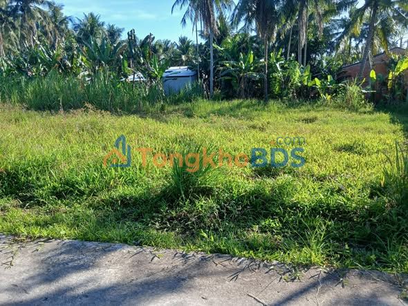 Bán Đất Vĩnh Long: Mặt Tiền Đường Đan 500m2, Giá 1.1 Tỷ