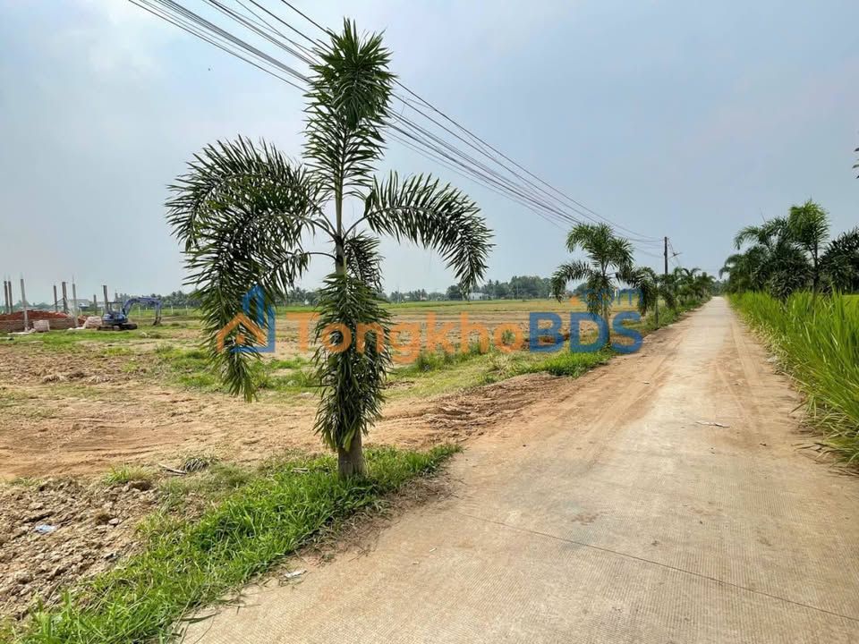 Đất thổ cư Thủ Thừa 168m² 930 triệu - Pháp lý rõ ràng