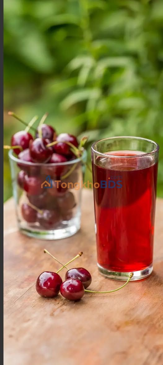 Nhà riêng Võ Văn Hát Long Trường 168m² 20 triệu - Ô tô vào nhà