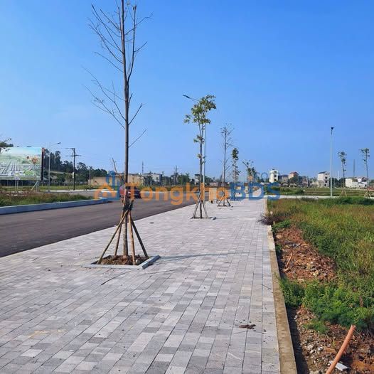 Đất nền MB520 Thanh Hóa 96m² giá 2 tỷ - Sổ đỏ chính chủ