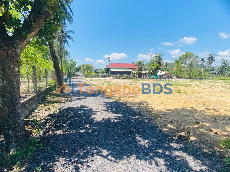 Đất nền Cát Hanh 150m² 3xx triệu - Đầu tư sinh lời