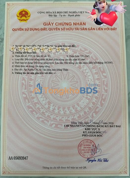 Đất nền Tân Hòa 147m² 300-399 triệu - Sổ đỏ chính chủ