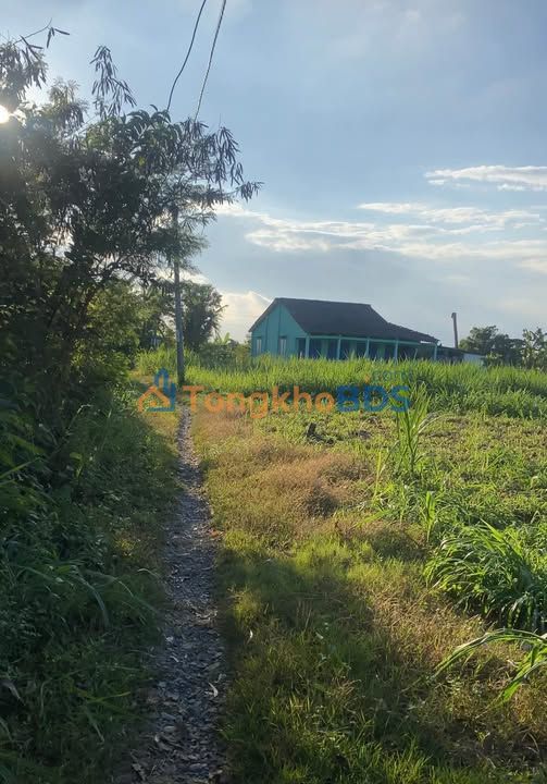 Đất nền 177m² Đồng Sơn, Gò Công Tây - Sổ đỏ thổ cư, giá 300 triệu