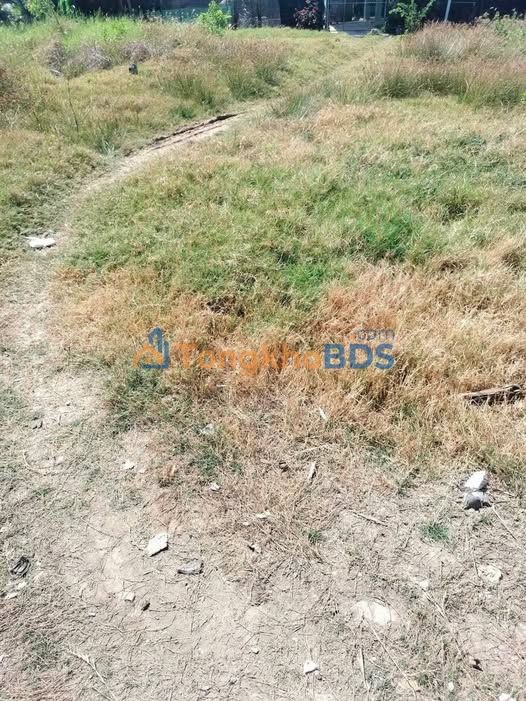 Đất nền 167m² đường xe hơi, Xã Kiểng Phước, Tiền Giang - Giá 300 triệu