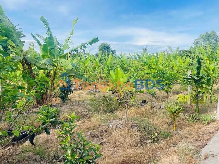 Đất Vườn 2000m² View Kênh TP Mỹ Tho - Giá Đầu Tư 3.2 Tỷ