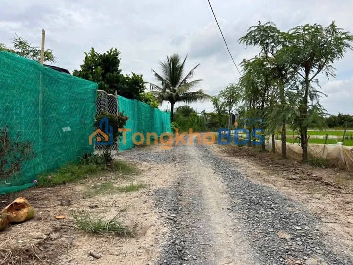 Bán Nền Đất Vị Trí Đẹp 546m² Tại Gò Công Đông, Tiền Giang - Giá 530 Triệu