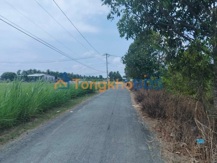 Đất nền Vĩnh Bình Gò Công Đông 4.300m² 540tr - Đường ô tô