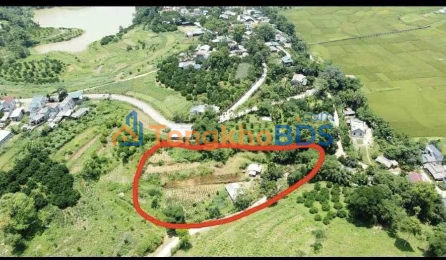 Đất nền Lỗ Sơn Tân Lạc 3.100m² giá 1.1 tỷ - Sổ đỏ chính chủ