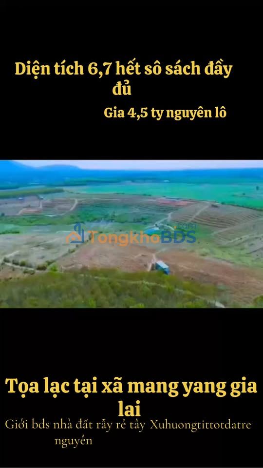 Farm Hải Yang Gia Lai 6,7ha 4,5 tỷ - Sẵn sàng khai thác