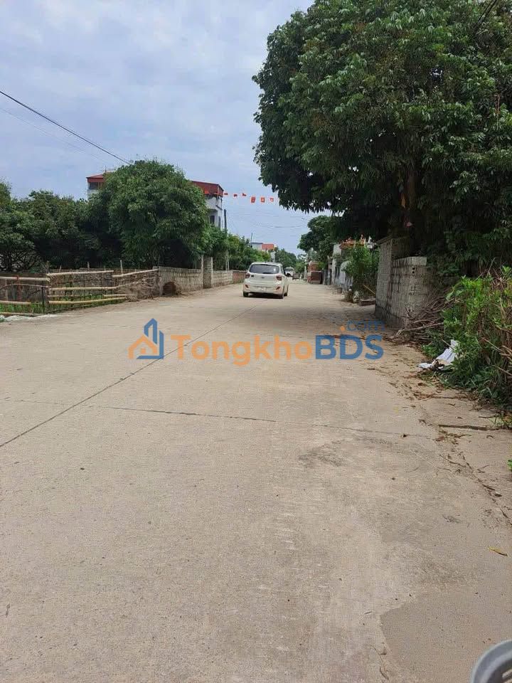 Đất nền Liên Phương Hưng Yên 210m² 12 tỷ - Sổ đỏ chính chủ