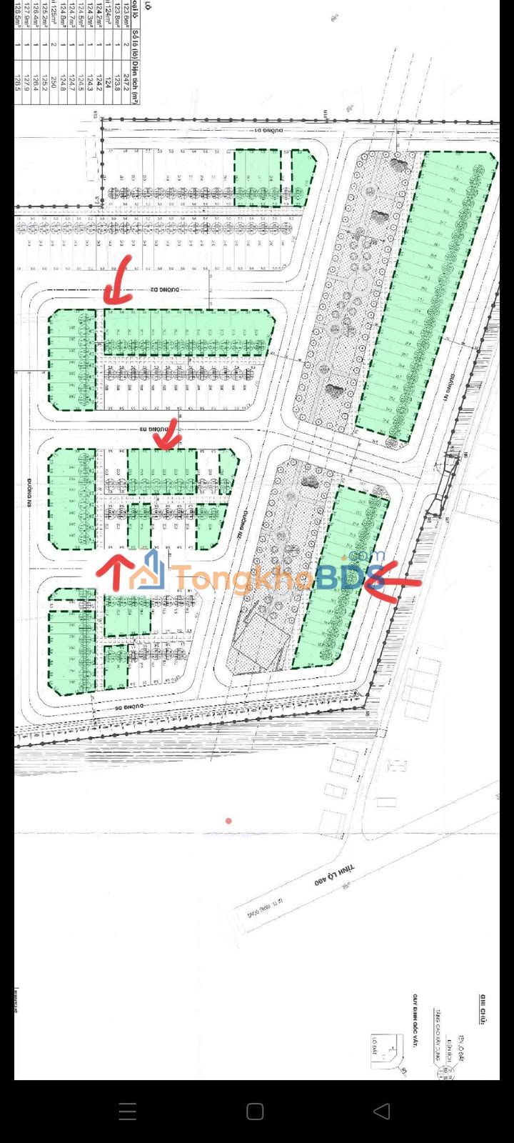 Đất TĐC Nam Định 100m² 1,3 tỷ - Tiềm năng tăng giá