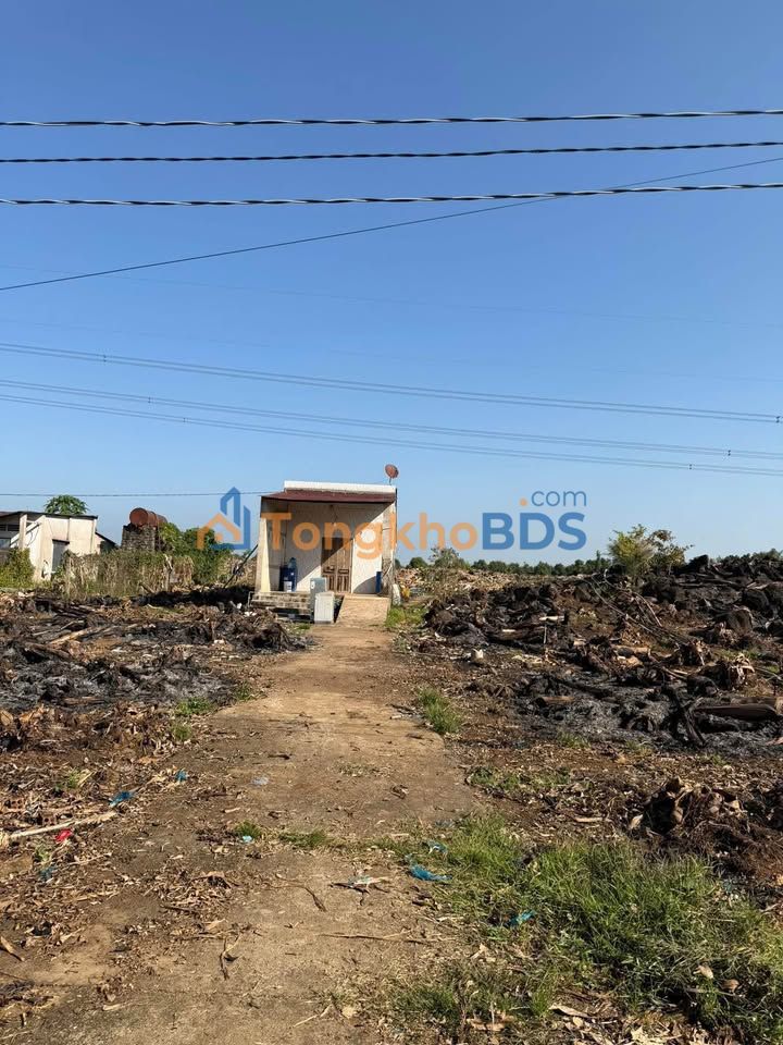 Đất nền Phú Lộc Tân Phú 12.200m² 15.25 tỷ - Sổ đỏ chính chủ