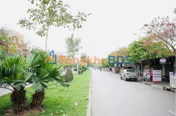 Nhà phố Nguyễn Văn Linh 65m² giá 8 tỷ - Mặt tiền kinh doanh sầm uất