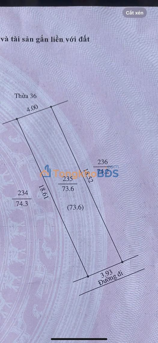 Đất nền Ngõ Trương Hán Siêu 74m² 962 triệu - Sổ đỏ chính chủ