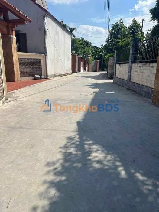 Đất nền Ngũ Hùng Thanh Miện 115m² 1 tỷ - Giá tốt hiếm có