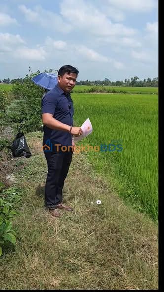 Đất Vườn Bạc Liêu 4386m² - Ngay Trung Tâm Thị Trấn Ngan Dừa