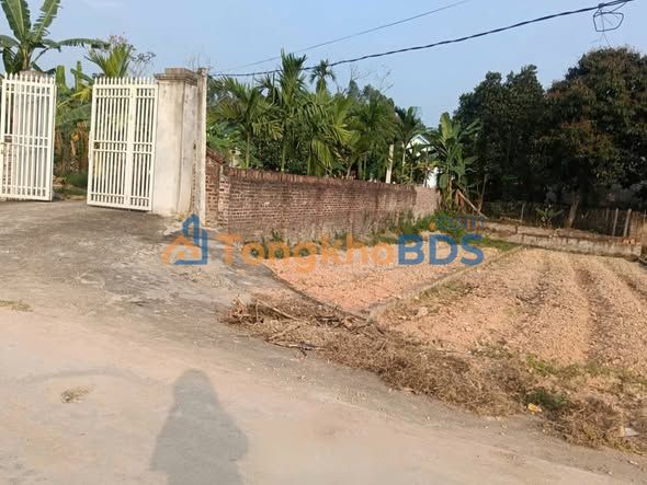 Đất Tam Sơn Phú Thọ 100m² giá 0,8 tỷ – Sổ đỏ chính chủ