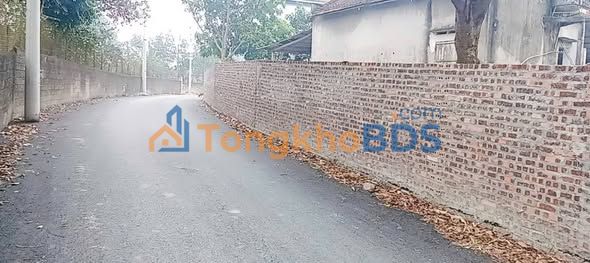 Đất nền Tam Sơn Cẩm Khê 300m² 1.4 tỷ - Đường to ô tô