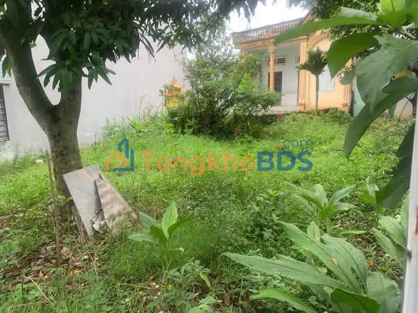 Đất Đồng Thịnh 586m² 2.1 tỷ - Pháp lý rõ ràng